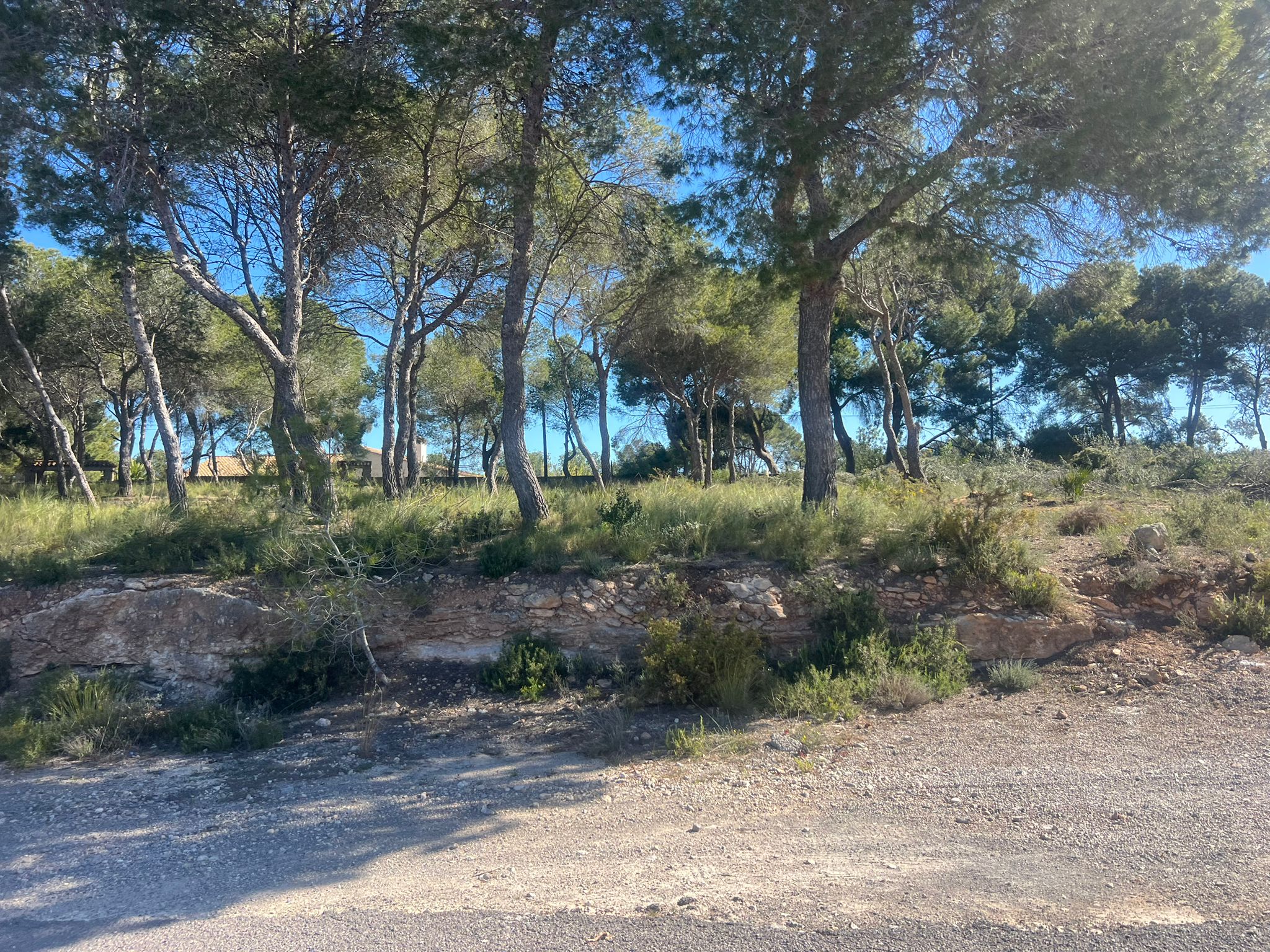 2 Parcelas en venta en Torre en Conill